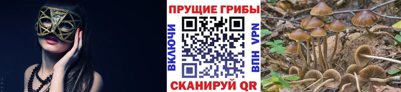 Галлюциногенные грибы прущие грибы  Купить где  Калязин 
